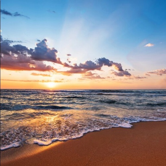 Meet your Posher, Trisha - Picture 1 of 1